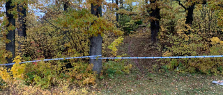 Trio döms för plan på trippelmord i Linköping