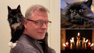 TÄVLING: Är din katt Årets Lussekatt i Motala-Vadstena?