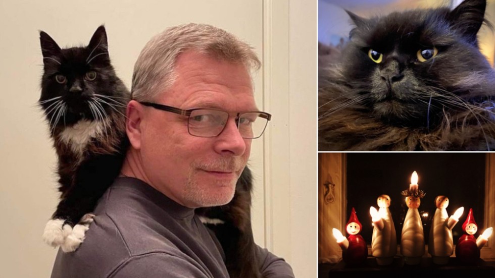 Till vänster katten Ossian - axeln han vilar på tillhör MVT:s nyhetschef Peter Calén. Till höger - katten Musse - matte är reporter Rita Furbring.