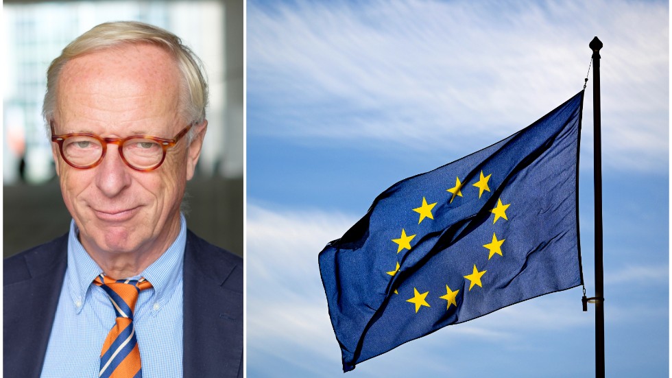 Gunnar Hökmark vill se en snabb behandling av Ukrainas EU-medlemskap.