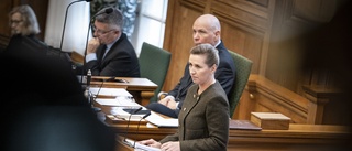 Nya danska regeringen kallas maktfullkomlig