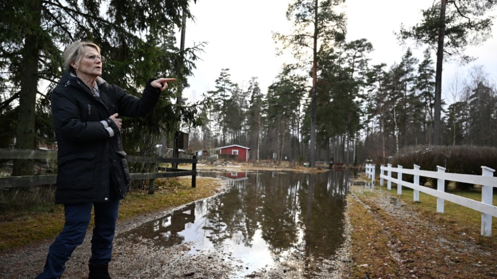 Eva Rehn har en stuga i ett fritidshusområde vid Mellsjön i Västergötland som drabbats av översvämningar.