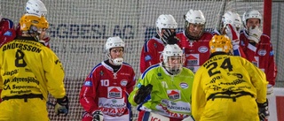 Kalix Bandy avslutade året med förlust