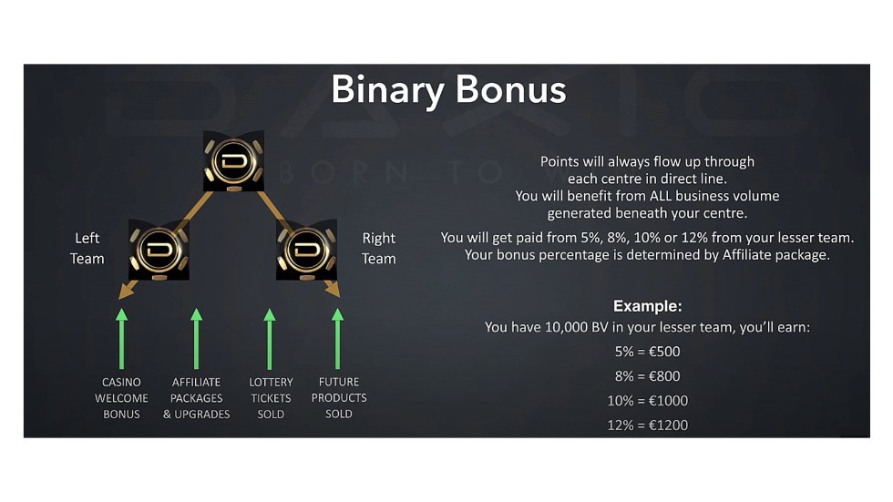 Here is an example of the structure behind Daxio's bonus system.