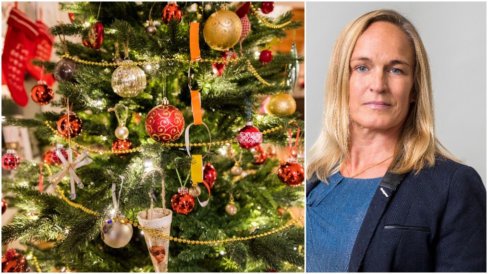 Frida Boklund, regionchef för Företagarna i Östergötland har inspirerats att skriva en julsaga fritt efter Charles Dickens dito.