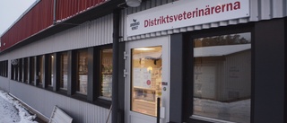 Ingen ljusning för veterinärerna i Vimmerby