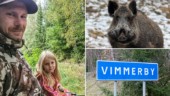 Färre vildsvin i Vimmerby: "Är väldigt stor skillnad"