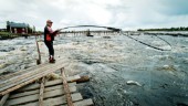 Håvfisket i Tornedalen föreslås till Unesco-lista