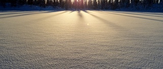 Februari – och solen har börjat värma