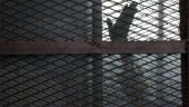Egypten benådar politiska fångar