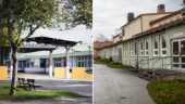 STOR ENKÄT: Det tycker Gotlands elever om sina högstadieskolor • De toppar och de är i botten – se alla svar