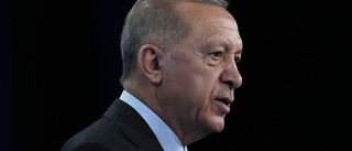 Erdogan hotar stoppa Sveriges Natoansökan