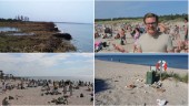 Strandens soptunnor försvann – nedskräpningen minskade • "Soptunnorna fylls otroligt snabbt och blir överfulla"
