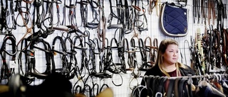 Jennie Vornanens butik för begagnade hästprylar lockar kunder i hela Sverige