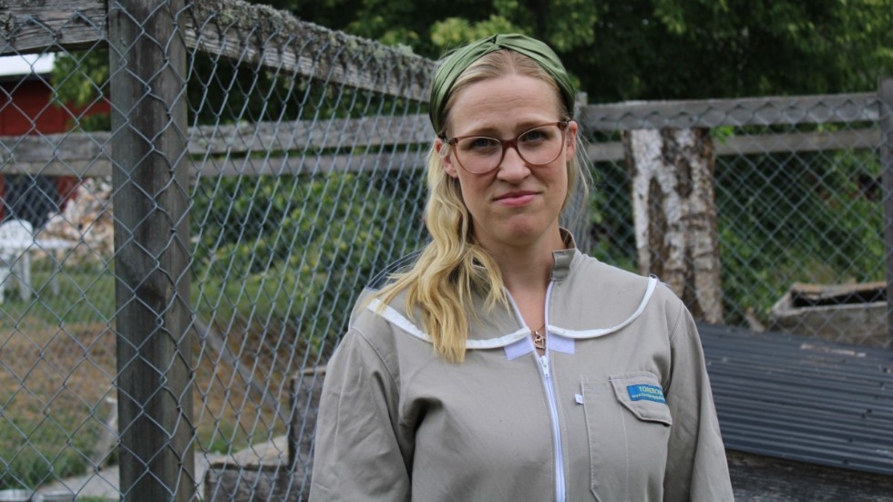 Maria Modig är nybörjare i biodlarvärlden, men hon har hunnit lära sig en hel del. "Man måste nästan nörda ner sig för att kunna odla bin på ett bra sätt", säger hon.