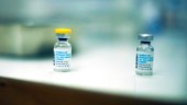 Vaccinet mot apkoppor har anlänt till Östergötland – men bara vissa kan få ta del av det