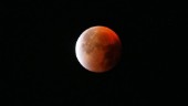 Supermånen färgas blodröd