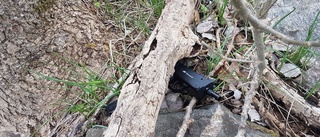 Hittade vapen på tomten – tillkallade polis