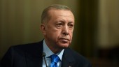 Turkietkännare: Regeringen måste vara tydlig