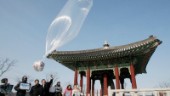 Nordkorea antyder: Covid i ballonger från syd