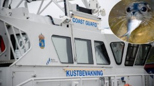 Dansk seglade genom sälskyddsområde – åtalas: "Det är första gången här och jag känner inte till området"