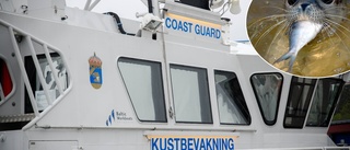 Dansk seglade genom sälskyddsområde – åtalas: "Det är första gången här och jag känner inte till området"