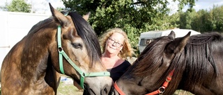 Lena Hansen driver hästkollektivet med hjärtat