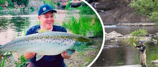Nu nappar laxen i Nyköpingsån – Victor drog upp fisk på över 8 kilo: "Varit borta i många år"