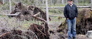 Nedblåsta träd upprör stugägare