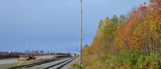 Drömtåget rullade längs kusten