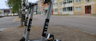 Hyrde ut elsparkcyklar i Piteå – stäms nu av aktieägare
