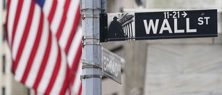Nedåt på USA-börsen – kryssningsbolag i topp