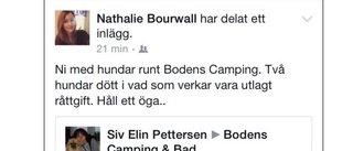 Döda hundar – varnar för råttgift