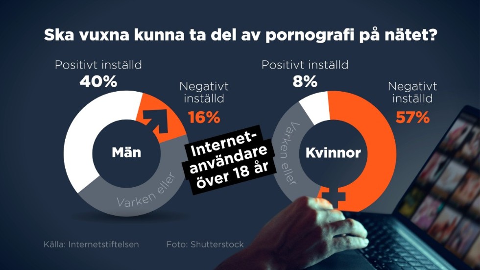 Det är stora skillnader i mäns och kvinnors inställning till pornografi, enligt undersökningen Svenskarna och internet.