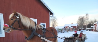 Uppskattad jultradition med häst och släde Norrfjärden: "Ger så mycket glädje och tacksamhet"