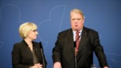 Låt Åkesson göra vad han vill