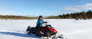 De fick stöd till utvecklingsprojekt i Västerbotten