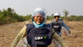 Flera döda när minor röjdes i Kambodja