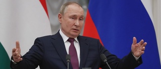 Putin: Rysslands oro ignoreras