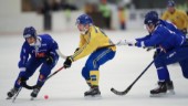 Sverige avstår bandy-VM – markerar mot Ryssland