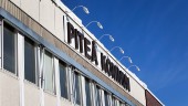 "Företagare vill engagera sig i Piteås utveckling"