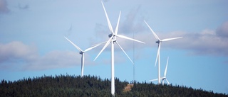 Säger ja till 54 nya vindkraftverk