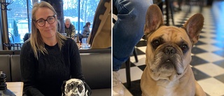Hundar välkomna på allt fler matställen i Uppsala: "Hänt jättemycket"
