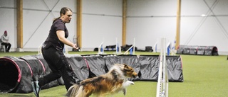 Många hemmahopp på tävlingspremiären: ”En sport som passar olika typer av hundar” 