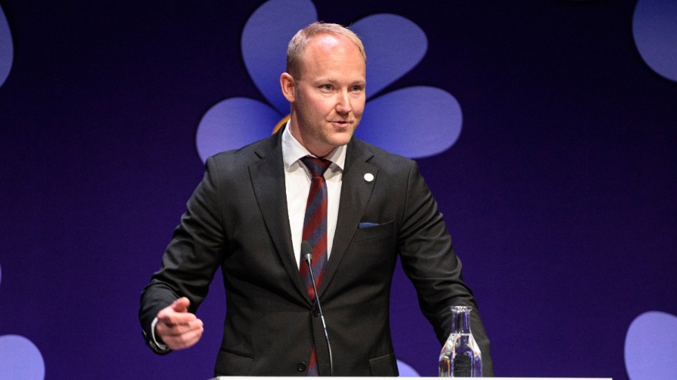 Ludvig Aspling, Sverigedemokraternas migrationspolitiska talesperson, försökte hålla emot krav på siffermål för återvandring i debatten på SD:s landsdagar.