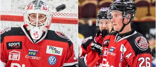 Efter dubbla skadesmällarna – så är status i Piteå Hockey inför juluppehållet