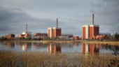 Dyr el i Finland efter importstopp