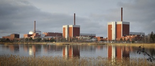 Dyr el i Finland efter importstopp