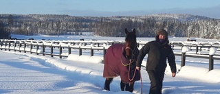 Hälsningen till kollegerna; "Magisk härlig dag - minus 29 och nio hästar ska tränas –ut och njut"