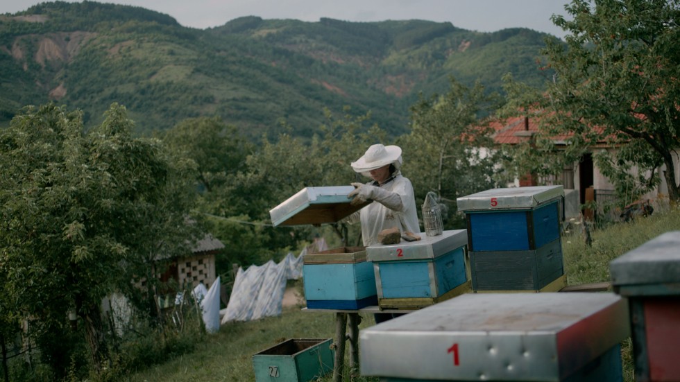"I koltrastens land" bygger på den sanna historien om Fahrije Hoti, som grundade ett kvinnodrivet jordbrukskooperativ i Kosovo.